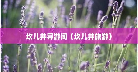 坎儿井导游词（坎儿井旅游）