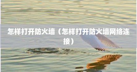 怎样打开防火墙（怎样打开防火墙网络连接）