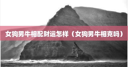 女狗男牛相配财运怎样（女狗男牛相克吗）