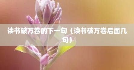 读书破万卷的下一句（读书破万卷后面几句）