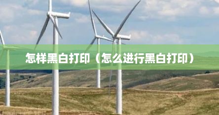 怎样黑白打印（怎么进行黑白打印）