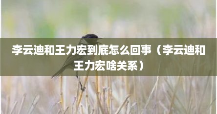 李云迪和王力宏到底怎么回事（李云迪和王力宏啥关系）