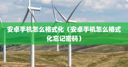 安卓手机怎么格式化（安卓手机怎么格式化忘记密码）