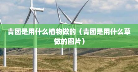 青团是用什么植物做的（青团是用什么草做的图片）