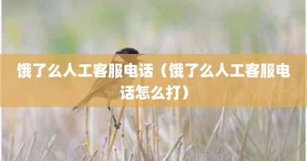 饿了么人工客服电话（饿了么人工客服电话怎么打）