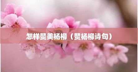 怎样赞美杨柳（赞杨柳诗句）