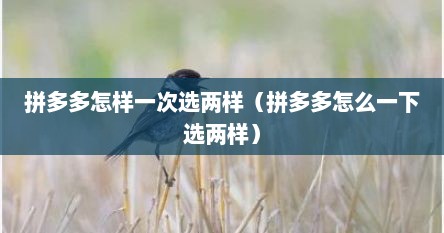拼多多怎样一次选两样（拼多多怎么一下选两样）