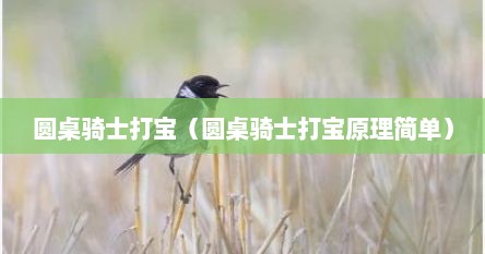 圆桌骑士打宝（圆桌骑士打宝原理简单）