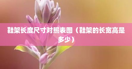 鞋架长度尺寸对照表图（鞋架的长宽高是多少）