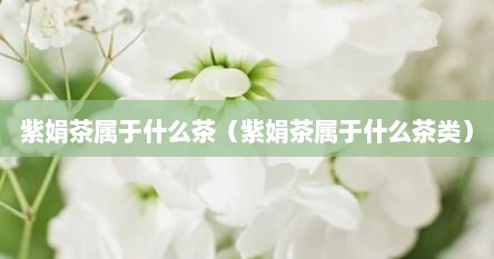 紫娟茶属于什么茶（紫娟茶属于什么茶类）