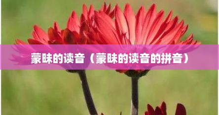 蒙昧的读音（蒙昧的读音的拼音）