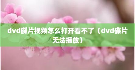dvd碟片视频怎么打开看不了（dvd碟片无法播放）
