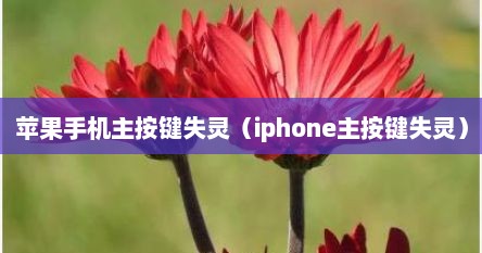 苹果手机主按键失灵（iphone主按键失灵）