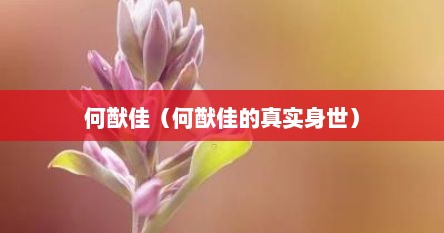 何猷佳（何猷佳的真实身世）