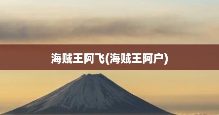 海贼王阿飞(海贼王阿户)