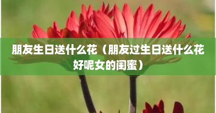 朋友生日送什么花（朋友过生日送什么花好呢女的闺蜜）