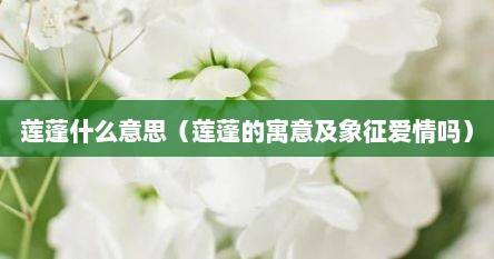 莲蓬什么意思（莲蓬的寓意及象征爱情吗）