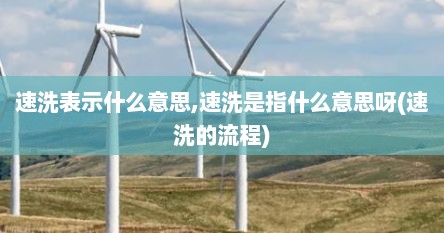 速洗表示什么意思,速洗是指什么意思呀(速洗的流程)