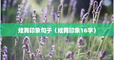 炫舞印象句子（炫舞印象16字）