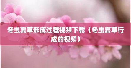 冬虫夏草形成过程视频下载（冬虫夏草行成的视频）