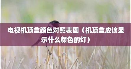 电视机顶盒颜色对照表图（机顶盒应该显示什么颜色的灯）
