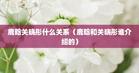 鹿晗关晓彤什么关系（鹿晗和关晓彤谁介绍的）