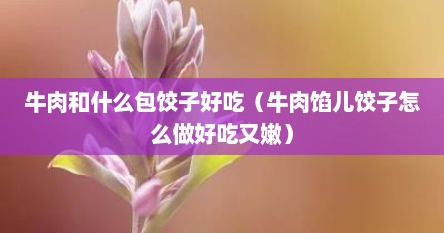 牛肉和什么包饺子好吃（牛肉馅儿饺子怎么做好吃又嫩）