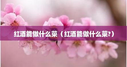 红酒能做什么菜（红酒能做什么菜?）