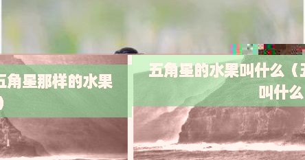 五角星的水果叫什么（五角星那样的水果叫什么）