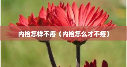 内检怎样不疼（内检怎么才不疼）