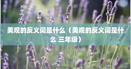 美观的反义词是什么（美观的反义词是）
