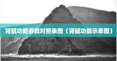肾脏功能参数对照表图（肾脏功能示意图）