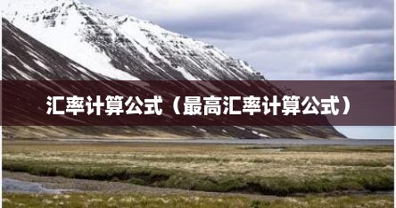 汇率计算公式（最高汇率计算公式）