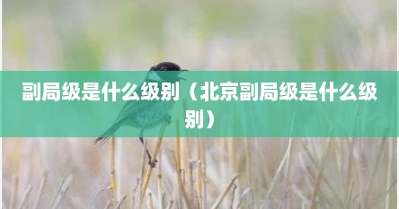 副局级是什么级别（北京副局级是什么级别）