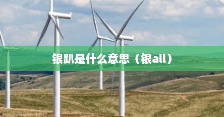 银趴是什么意思（银all）