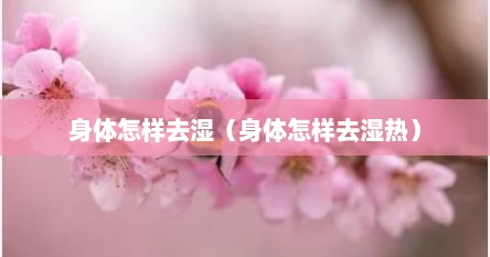 身体怎样去湿（身体怎样去湿热）