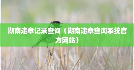 湖南违章记录查询（湖南违章查询系统官方网站）