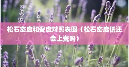 松石密度和瓷度对照表图（松石密度低还会上瓷吗）