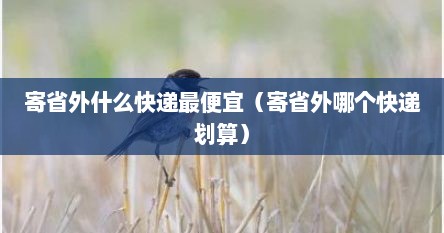 寄省外什么快递最便宜（寄省外哪个快递划算）