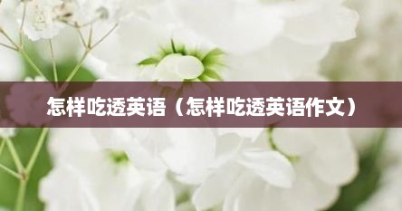 怎样吃透英语（怎样吃透英语作文）