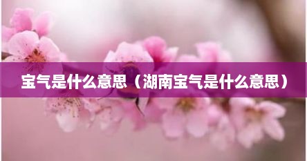 宝气是什么意思（湖南宝气是什么意思）