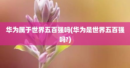 华为属于世界五百强吗(华为是世界五百强吗?)