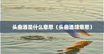 头曲酒是什么意思（头曲酒啥意思）