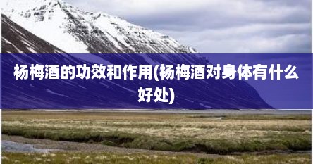 杨梅酒的功效和作用(杨梅酒对身体有什么好处)