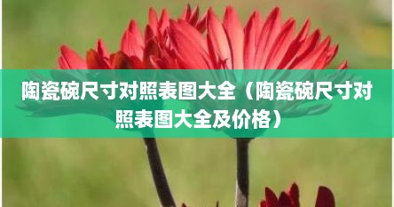 陶瓷碗尺寸对照表图大全（陶瓷碗尺寸对照表图大全及价格）