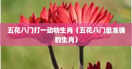 五花八门打一动物生肖（五花八门最准确的生肖）