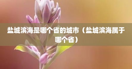 盐城滨海是哪个省的城市（盐城滨海属于哪个省）
