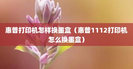 惠普打印机怎样换墨盒（惠普1112打印机怎么换墨盒）