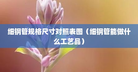 细钢管规格尺寸对照表图（细钢管能做什么工艺品）