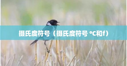 摄氏度符号（摄氏度符号 ℃和f）